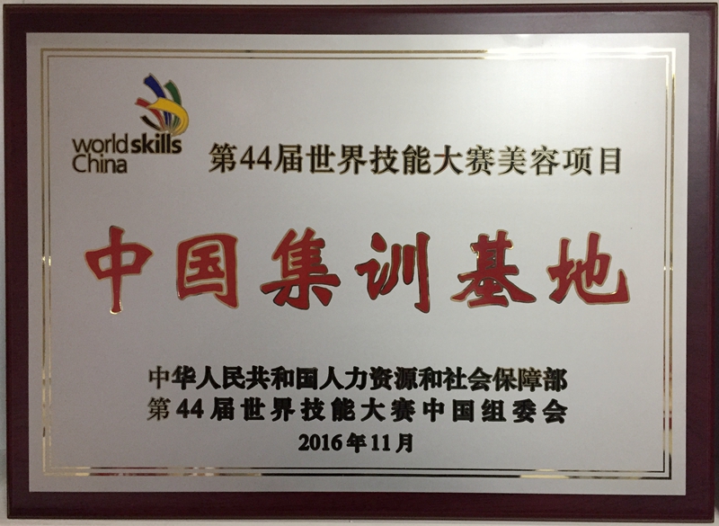 上海成功申办第46届世界技能大赛，双11活动同时启动